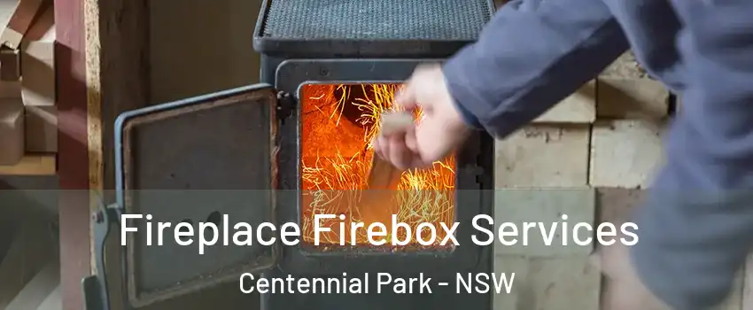  Fireplace Firebox Services Centennial Park - NSW