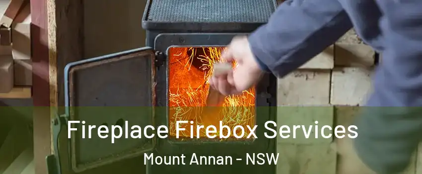 Fireplace Firebox Services Mount Annan - NSW