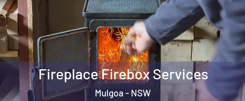 Fireplace Firebox Services Mulgoa - NSW