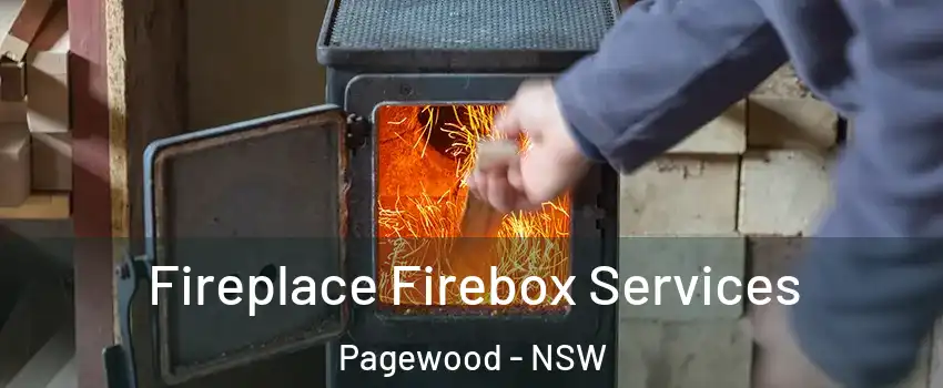 Fireplace Firebox Services Pagewood - NSW
