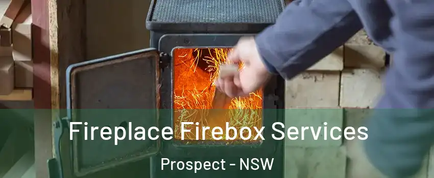 Fireplace Firebox Services Prospect - NSW