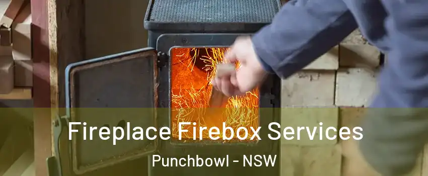Fireplace Firebox Services Punchbowl - NSW