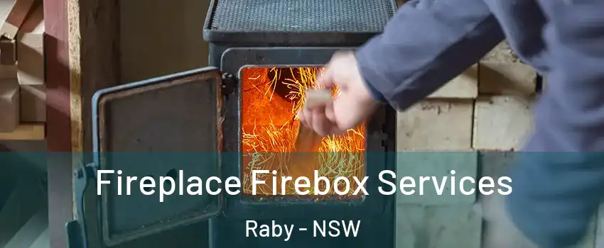 Fireplace Firebox Services Raby - NSW