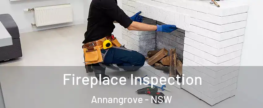 Fireplace Inspection Annangrove - NSW