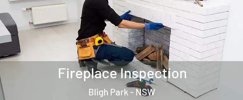 Fireplace Inspection Bligh Park - NSW