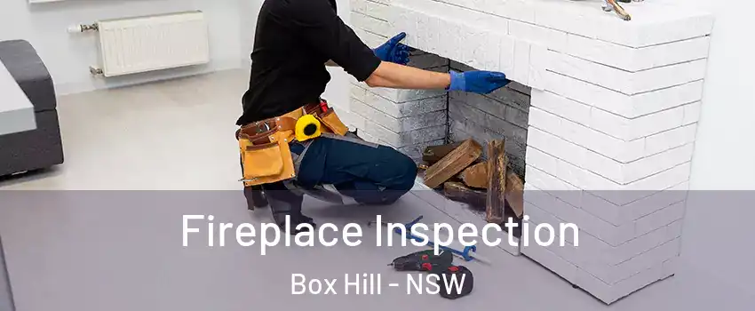 Fireplace Inspection Box Hill - NSW