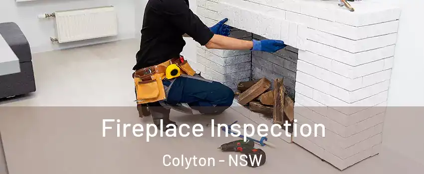 Fireplace Inspection Colyton - NSW