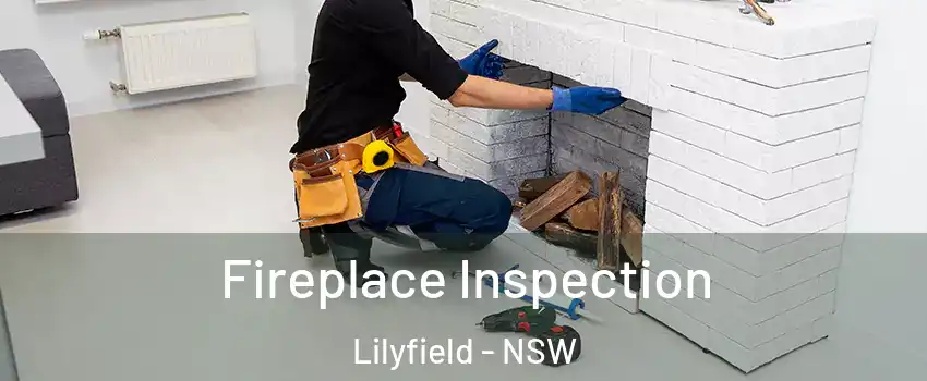 Fireplace Inspection Lilyfield - NSW