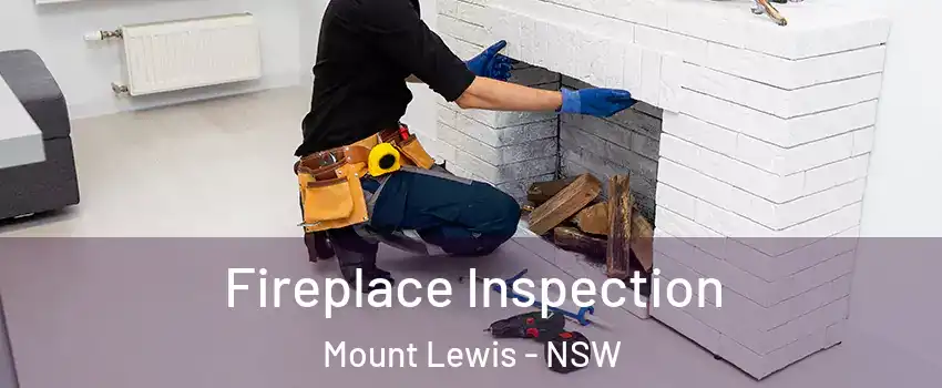 Fireplace Inspection Mount Lewis - NSW