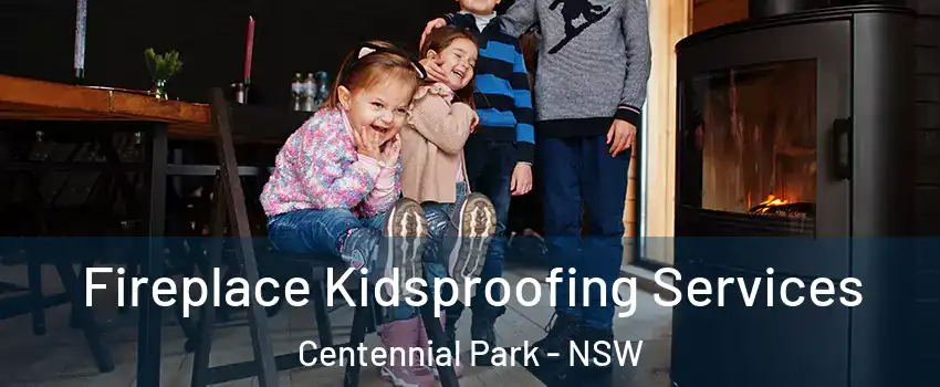 Fireplace Kidsproofing Services Centennial Park - NSW
