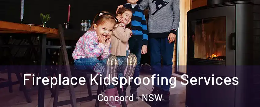 Fireplace Kidsproofing Services Concord - NSW