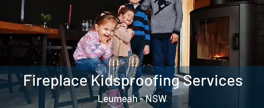 Fireplace Kidsproofing Services Leumeah - NSW