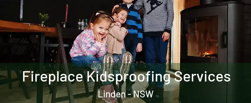 Fireplace Kidsproofing Services Linden - NSW