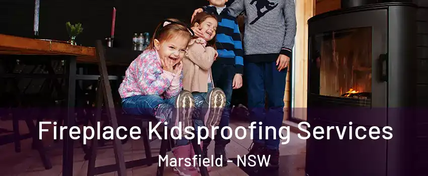 Fireplace Kidsproofing Services Marsfield - NSW