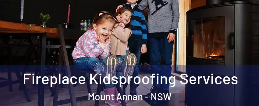 Fireplace Kidsproofing Services Mount Annan - NSW