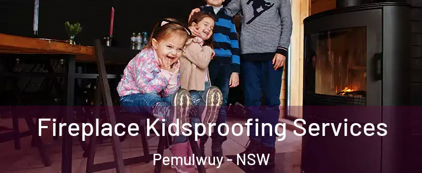 Fireplace Kidsproofing Services Pemulwuy - NSW