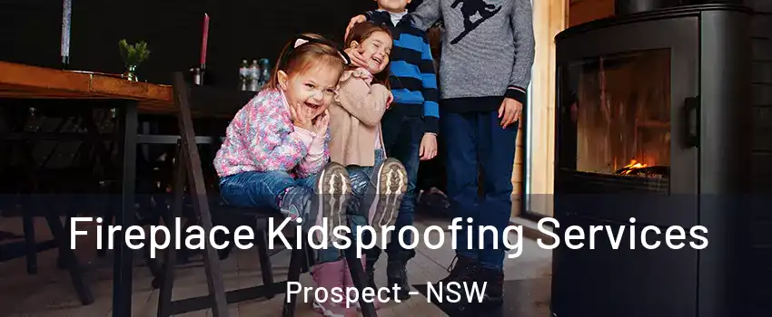 Fireplace Kidsproofing Services Prospect - NSW