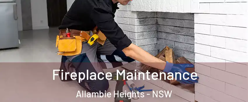 Fireplace Maintenance Allambie Heights - NSW
