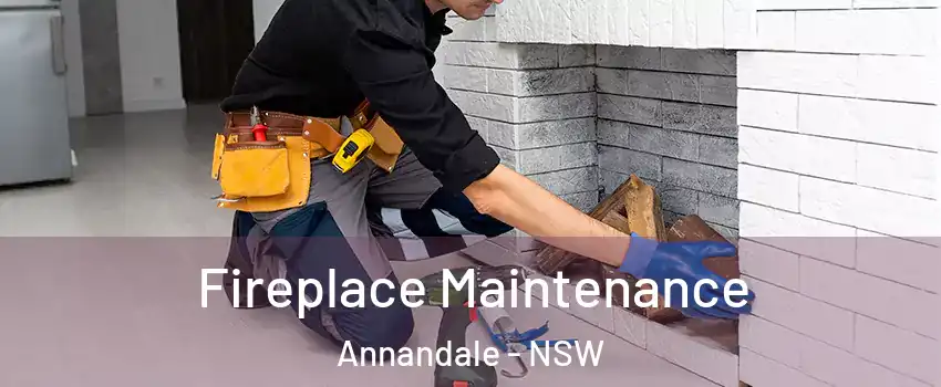 Fireplace Maintenance Annandale - NSW