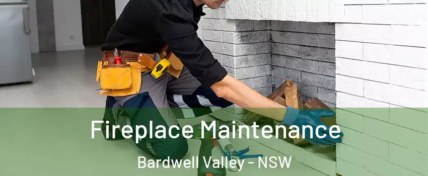 Fireplace Maintenance Bardwell Valley - NSW