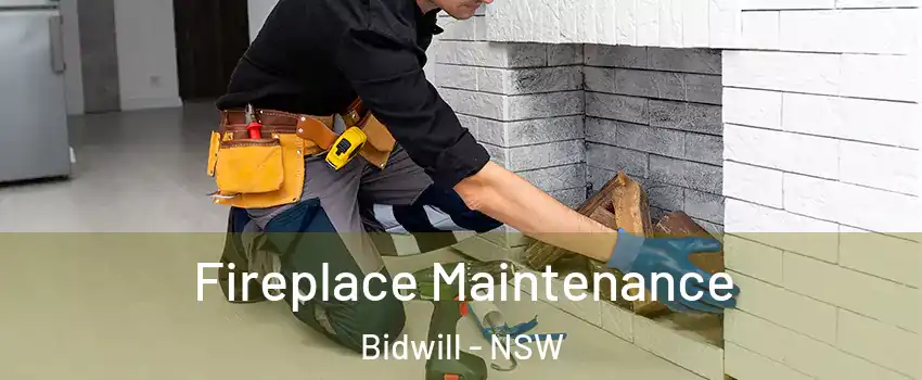  Fireplace Maintenance Bidwill - NSW