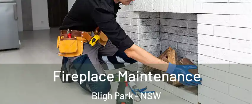Fireplace Maintenance Bligh Park - NSW