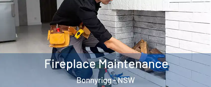 Fireplace Maintenance Bonnyrigg - NSW