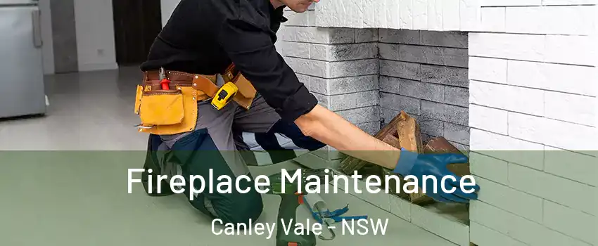 Fireplace Maintenance Canley Vale - NSW