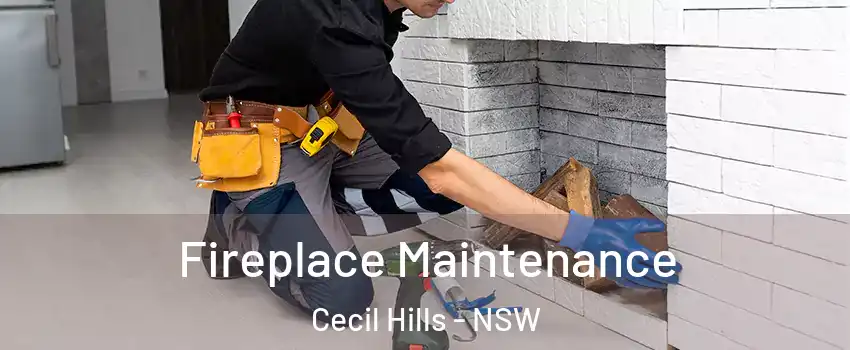  Fireplace Maintenance Cecil Hills - NSW