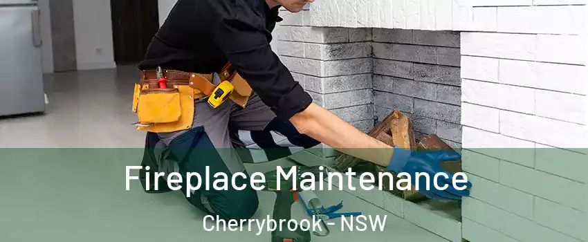 Fireplace Maintenance Cherrybrook - NSW