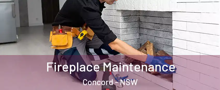 Fireplace Maintenance Concord - NSW