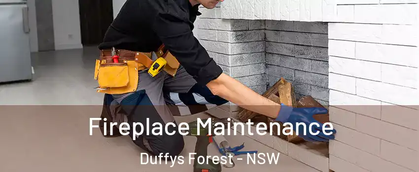Fireplace Maintenance Duffys Forest - NSW