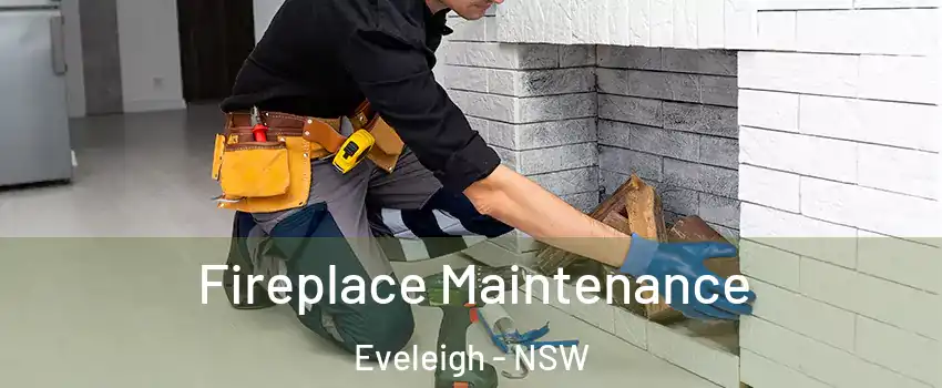 Fireplace Maintenance Eveleigh - NSW