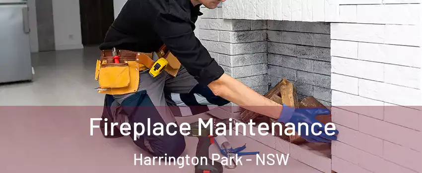 Fireplace Maintenance Harrington Park - NSW
