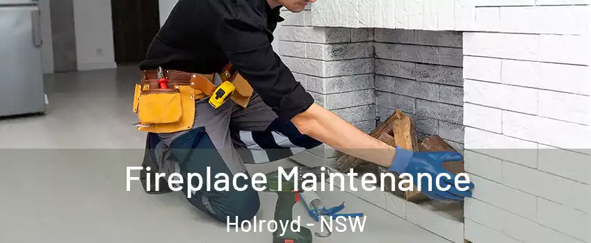 Fireplace Maintenance Holroyd - NSW