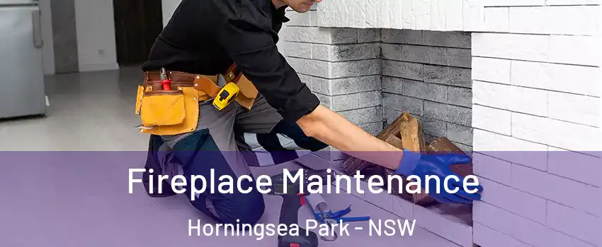 Fireplace Maintenance Horningsea Park - NSW