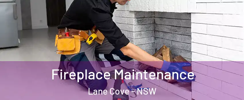Fireplace Maintenance Lane Cove - NSW