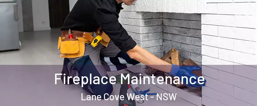 Fireplace Maintenance Lane Cove West - NSW