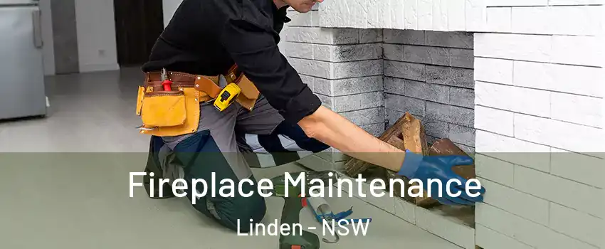 Fireplace Maintenance Linden - NSW