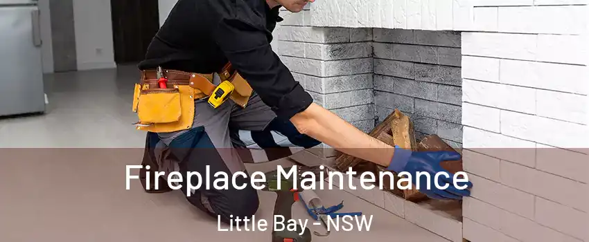 Fireplace Maintenance Little Bay - NSW