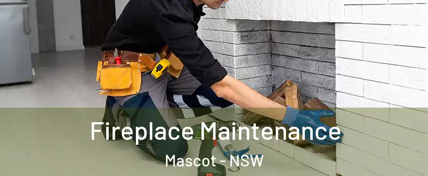 Fireplace Maintenance Mascot - NSW
