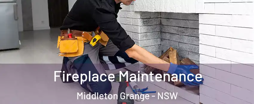 Fireplace Maintenance Middleton Grange - NSW