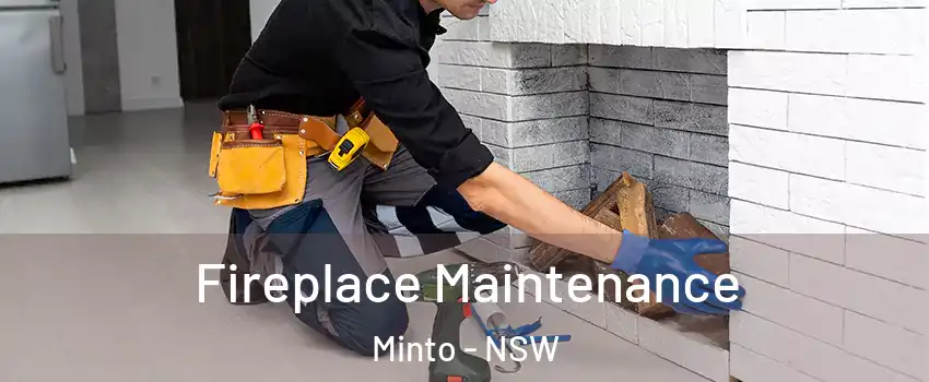Fireplace Maintenance Minto - NSW