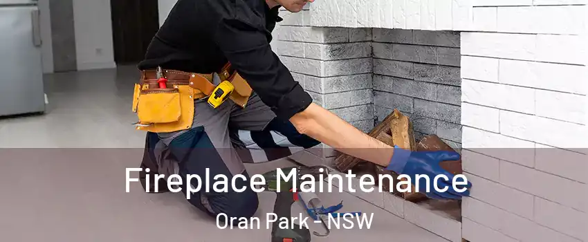 Fireplace Maintenance Oran Park - NSW