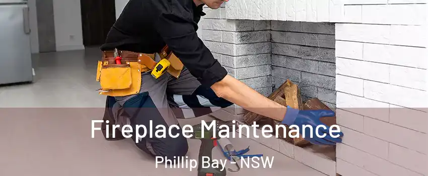 Fireplace Maintenance Phillip Bay - NSW