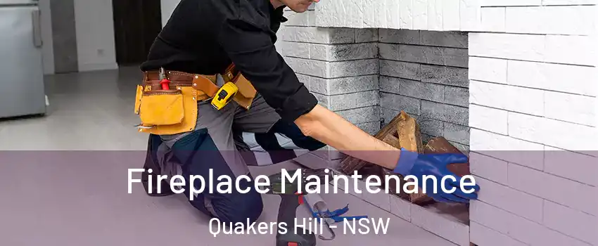 Fireplace Maintenance Quakers Hill - NSW