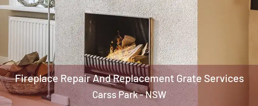 Fireplace Repair And Replacement Grate Services Carss Park - NSW
