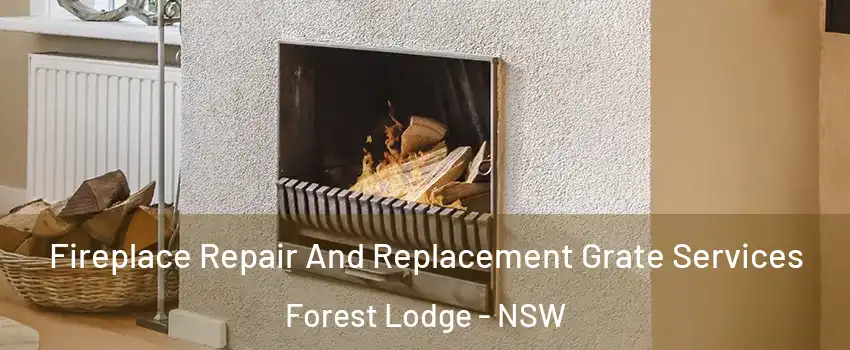 Fireplace Repair And Replacement Grate Services Forest Lodge - NSW