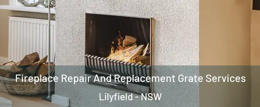 Fireplace Repair And Replacement Grate Services Lilyfield - NSW