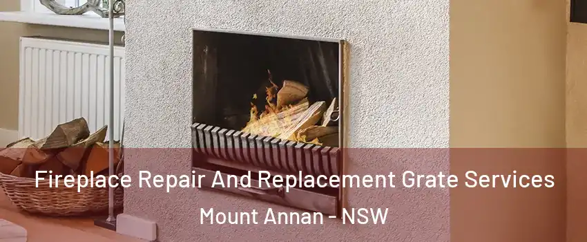 Fireplace Repair And Replacement Grate Services Mount Annan - NSW